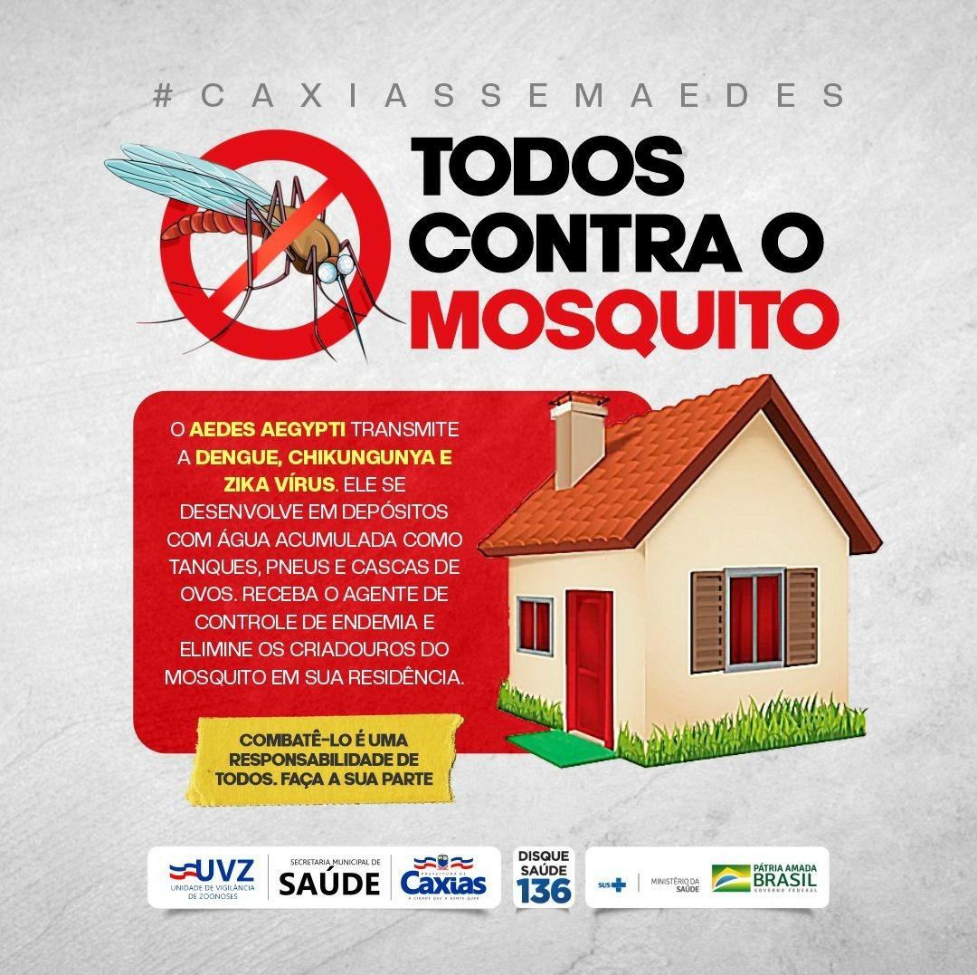 Prefeitura Municipal de Itapemirim - ?TODOS CONTRA O MOSQUITO DA