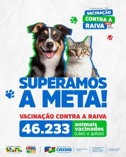 🐶🐱💉 Caxias superou a meta de vacinação contra a raiva! 
De acordo com o Ministério da Saúde, o percentual de 80% é a meta de cobertura vacinal, e nós fomos além! 🙌✨
Entre os dias 15 de setembro e 17 de outubro, cães e gatos foram vacinados, garantindo mais saúde, proteção e bem-estar para a população e para os nossos pets. 💙
Seguimos avançando na saúde pública e no cuidado com os animais! 🐾
#VacinaçãoAntirrábica #UVZ #SaúdeCaxias #PrefeituraDeCaxias