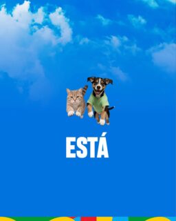 🐶🐱💉 Seu melhor amigo também precisa estar protegido!

A Vacinação Antirrábica 2026 está chegando! A campanha já começou pela zona rural, com as equipes realizando visitas para vacinar cães e gatos a partir de 3 meses. 🐾

Na zona urbana, a vacinação já está disponível na Unidade de Vigilancia de Zoonoses. Não deixe seu amigo de fora! 🐶🐱

#VacinaçãoAntirrábica #SaúdeCaxias #PrefeituraDeCaxias