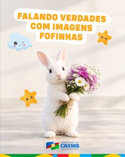 🧸 Fofinhos, sim. Falando verdades, também!

Informação também pode ser leve, divertida e chegar de um jeito diferente. Por aqui, a gente entrou na trend para compartilhar algumas verdades que fazem parte do dia a dia da nossa cidade. 🤝

Desliza o carrossel e vê se você concorda! 🫶🏻

#FalandoVerdades #PrefeituraDeCaxias #ViverAquiÉBomDemais