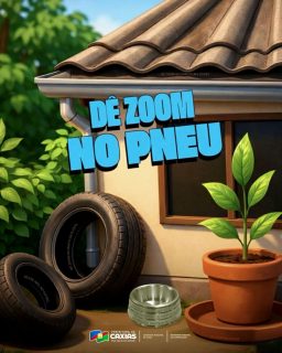 Dê zoom aí! 🔎
O mosquito não precisa de muito para se reproduzir. Pneu, prato de planta, calha e recipientes esquecidos podem virar criadouros.
A dengue se combate todos os dias, com atenção e cuidado dentro de casa. Faça sua parte! 🚫🦟
#DengueNão #JuntosContraADengue #SaúdeCaxias #PrefeituradeCaxias