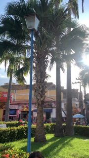 Sextou por aqui! 😄

Bom final de semana, Caxias! Que seja de descanso, alegrias e momentos especiais. 💙

#Sextou #BomFinalDeSemana
#PrefeituraDeCaxias