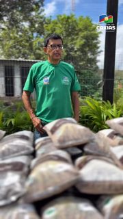 🌱✨ Mais verde, mais oportunidades para nossa cidade!
O reflorestamento e a geração de renda ganham reforço com a chegada de 40 mil mudas de açaí, que irão contribuir para a recuperação de áreas e incentivar a produção sustentável. 🤝
É desenvolvimento com responsabilidade ambiental, criando oportunidades hoje e preservando o amanhã. 💚🌳
#MeioAmbiente #Sustentabilidade #Reflorestamento #GeraçãoDeRenda #PrefeituraDeCaxias