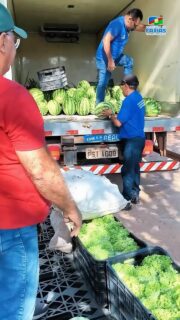 🌱🤝 Lançamento do PAA Quilombola!A Secretaria Municipal de Atividades Produtivas e a Inspeção Animal realizou o lançamento do programa, fortalecendo a agricultura familiar e valorizando quem produz nas comunidades quilombolas. 💚#PAAQuilombola #AgriculturaFamiliar #AtividadesProdutivas #PrefeituraDeCaxias