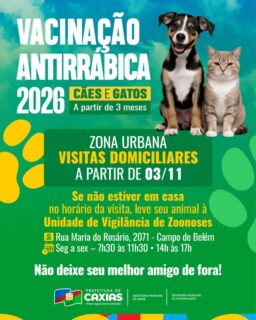 🐶🐱💉 A vacinação antirrábica 2026 está chegando!
A partir do dia 3 de novembro, as equipes iniciam as visitas domiciliares na zona urbana para vacinar cães e gatos a partir de 3 meses de idade. 🐾
Proteja seu melhor amigo! A vacinação é um cuidado essencial para a saúde de todos. 💚
#VacinaçãoAntirrábica2026 #SaúdeCaxias #PrefeituraDeCaxias